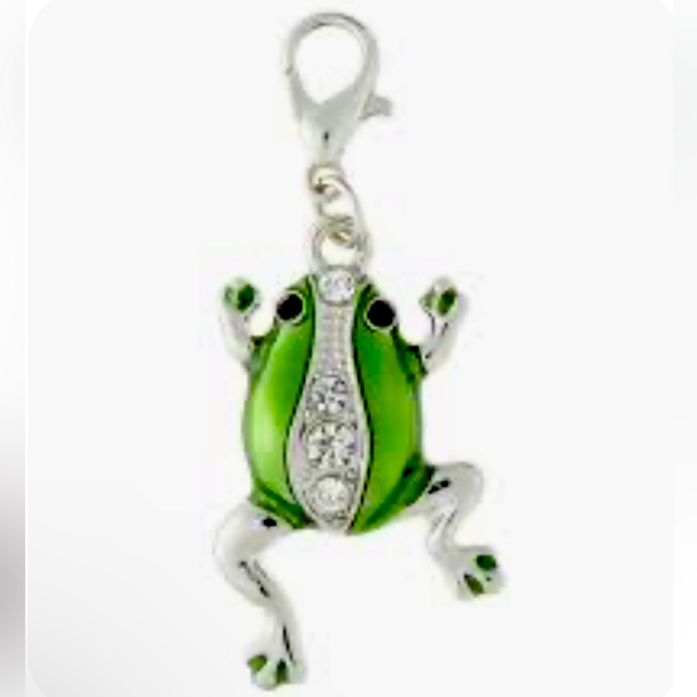 Green Frog Silver Clip On Charm for Bracelet Pendant Zipper Keychain Charm Purse